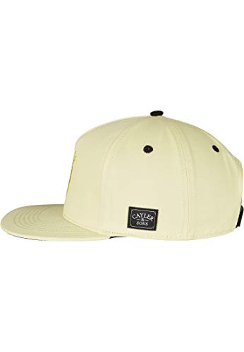 21LwZ7rz3JL.jpg Cayler & Sons Casquette Acid Smile