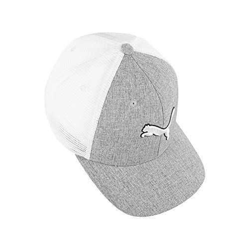 417zddTOL2L.jpg PUMA Men PMAM2609-033-SM Grey Small Medium
