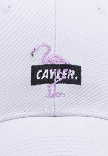 41IlrJ-cRmL.jpg Cayler & Sons Unisex Cap WL Camingo Curved Blanco