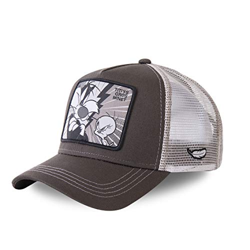 41JLwr72cvL.jpg Capslab – Gorra tipo béisbol de los Looney Tunes TAZ 11