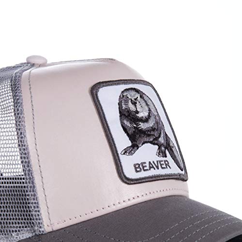 41MZwo7IuuL.jpg Goorin Bros - Gorra de béisbol para hombre, cierre trasero ajustable, moda y fantasía Beaver Pink