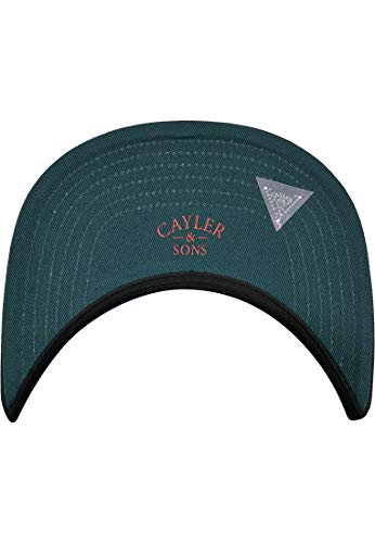 41T6hqWmEzL.jpg Cayler & Sons WL Royal - Gorra ajustable para hombre color negro