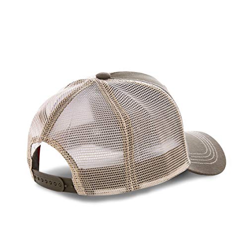 41dCneE5SEL.jpg Capslab – Gorra tipo béisbol de los Looney Tunes TAZ 13