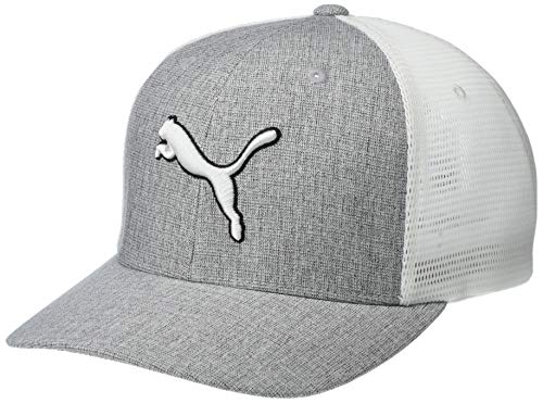 51WZyecl62BL.jpg PUMA Men PMAM2609-033-SM Grey Small Medium