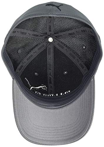 51udK-fLOKL.jpg PUMA Gorra de ajuste elástico para hombre Gris