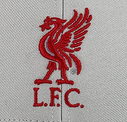 615T3xt8aUS.jpg 47 Liverpool FC - Gorra Unisex Adulto Gris